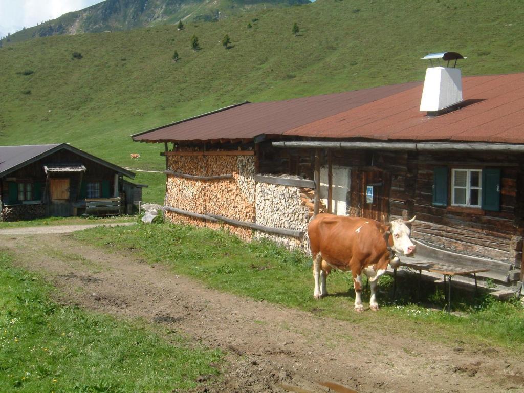 Ferienwohnung Haus Brügglbach Kirchberg in Tirol Exterior foto