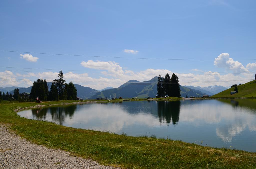 Ferienwohnung Haus Brügglbach Kirchberg in Tirol Exterior foto